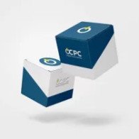 CPU RYZEN X6 R5-8400F SAM5/65W 4200 100-000001591 AMD