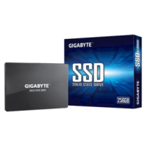 Gigabyte|||GP-GSTFS31256GTND|||256|GB|||Solid-state|drive|interface