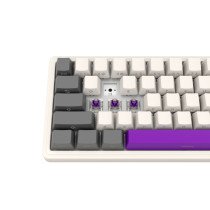 Wireless|mechanical|gaming|keyboard|Pro,|2.4|GHz,|BT,|RGB|Backlight