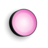 Philips Hue WCA Daylo Outdoor Wall Lantern, Black|15 W|2000-6500 Hue