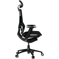 LORGAR Grace 855, Gaming chair, Mesh material, aluminium frame