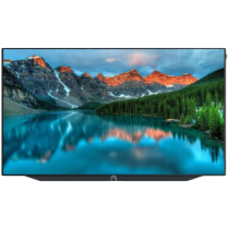 LOEWE TV 55'' Bild V dr+, 4K Ultra, OLED HDR, 1TB HDD, Integrated