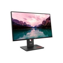 LENOVO ThinkVision T24-40 23.8inch TS